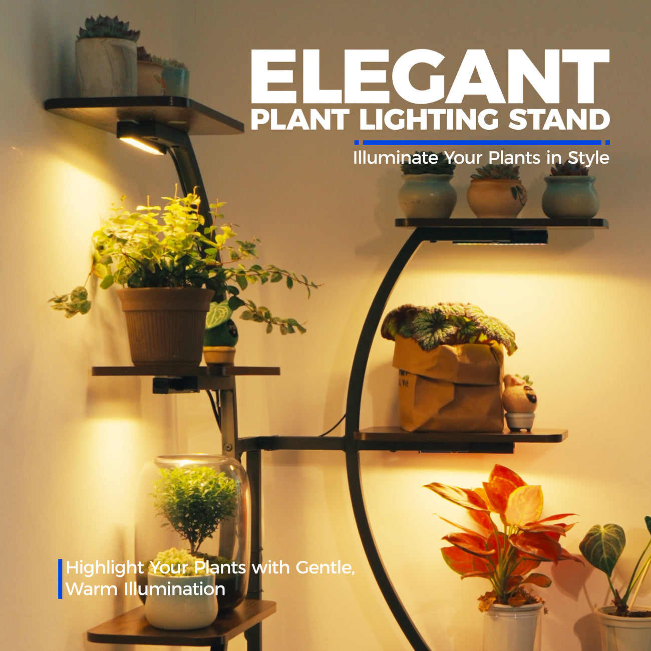 BloomArc Corner Stand