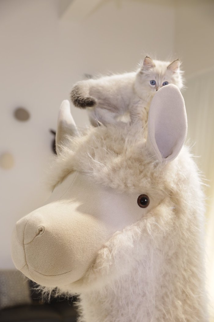 Alpaca Tower Home Furniture